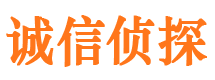 定结诚信私家侦探公司